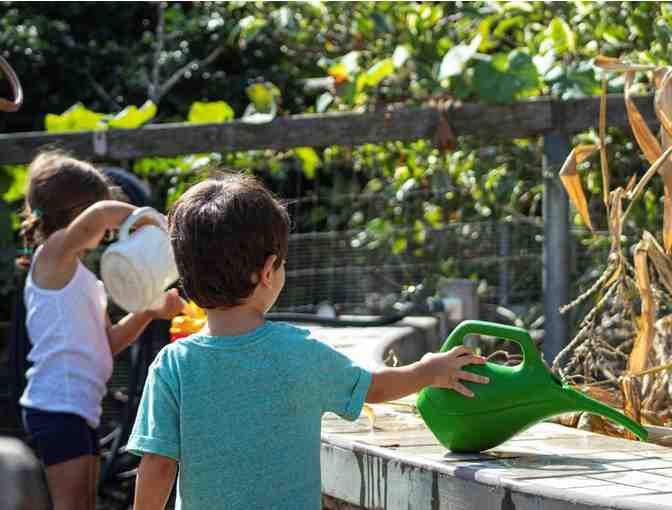 Succulent Sculpture and four (4) Tickets to San Diego Botanic Garden