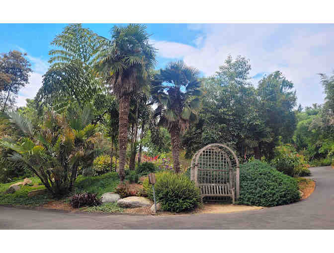 Succulent Sculpture and four (4) Tickets to San Diego Botanic Garden