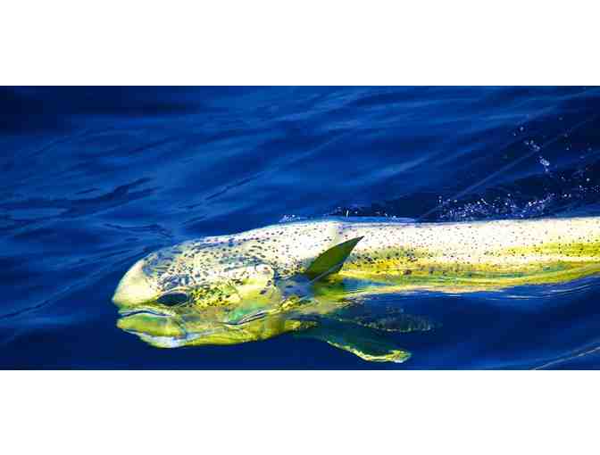 Family Vacation to Costa Rica!