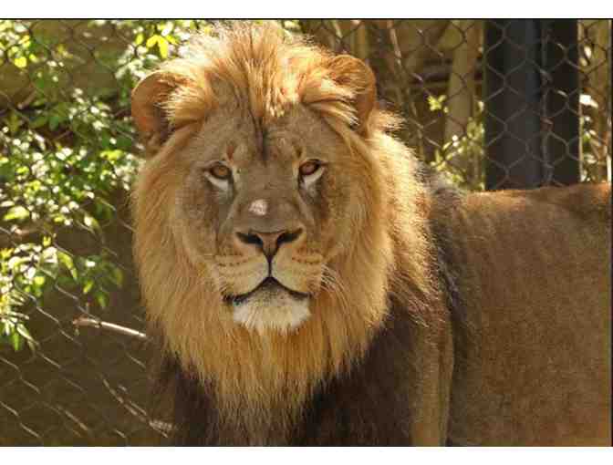 Little Rock Zoo four admission passes (Little Rock, AZ)