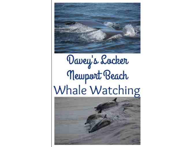 Whale Watching Cruise for two (Newport Beach, CA)