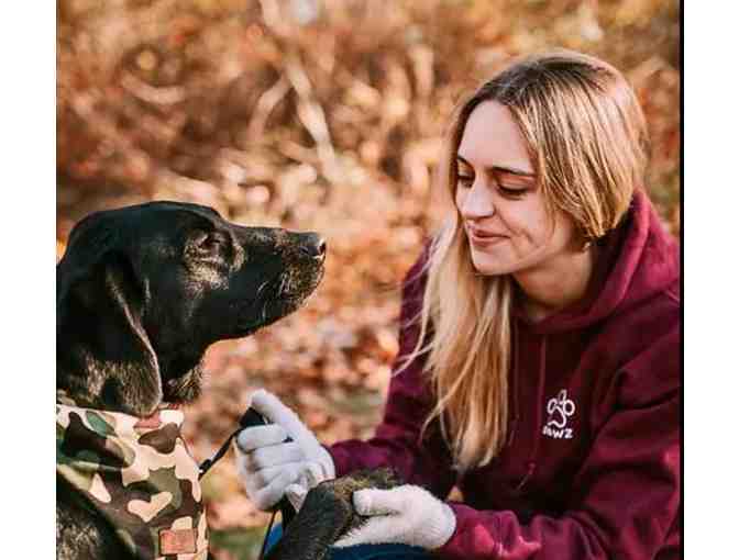 Dog-Ship Coaching (Online) (Donated by Diane Doering)