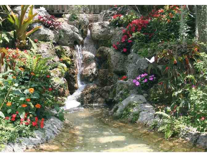 Two (2) Admission Tickets to Butterfly World