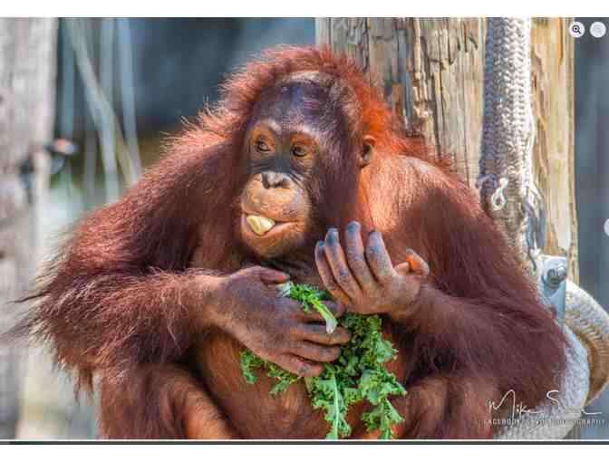 2 Tickets to Zoo Tampa at Lowry Park