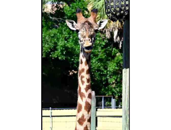 2 Tickets to Zoo Tampa at Lowry Park