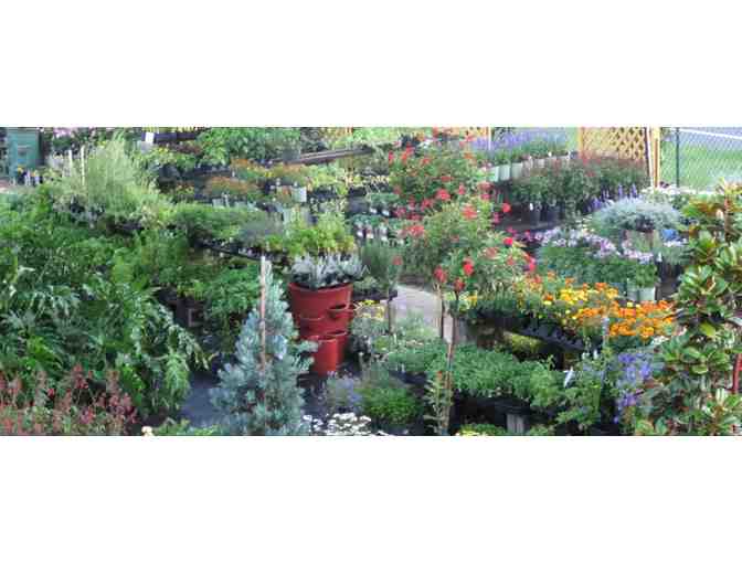 Southern Horticulture Garden Center - $50 Gift Certificate