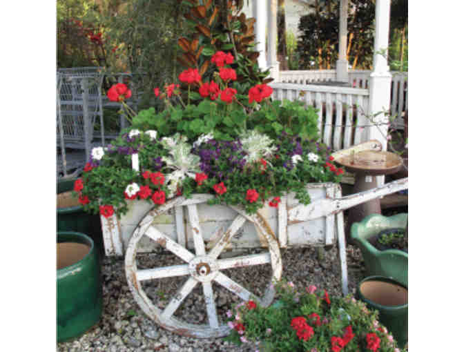 Southern Horticulture Garden Center - $50 Gift Certificate