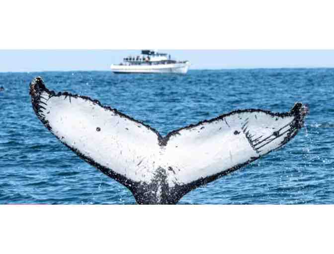 Enjoy 3 nights luxury condo San Diego + Whale Watching - Photo 2