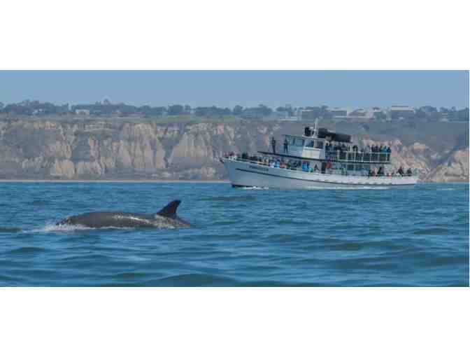 Enjoy 3 nights luxury condo San Diego + Whale Watching - Photo 4