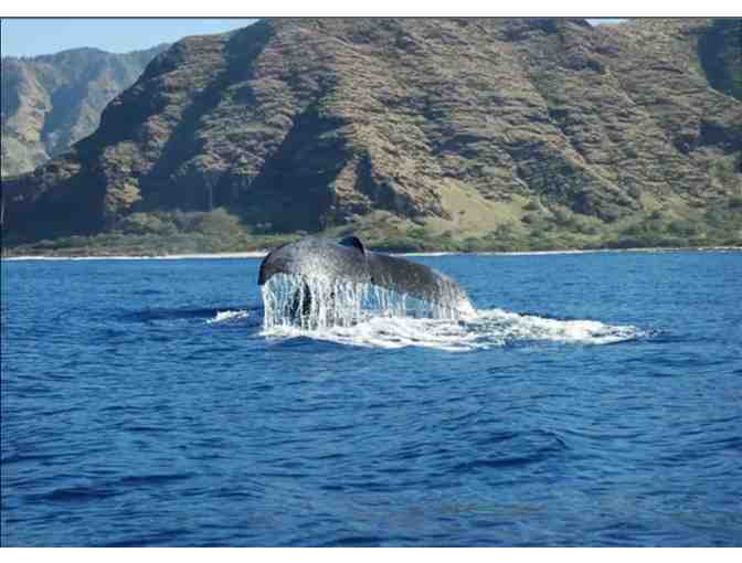 7 nights @ Direct Oceanview 3 bed Home West Oahu + Organic Farm - Photo 12