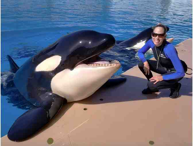 Sea World San Diego Trainer for Day + 5 night Experience
