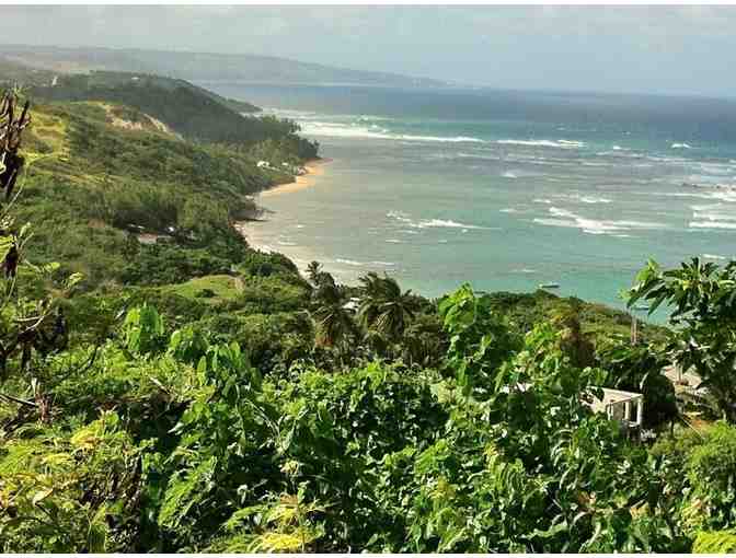 7-Night Stay at Eco Lifestyle Lodge in Barbados