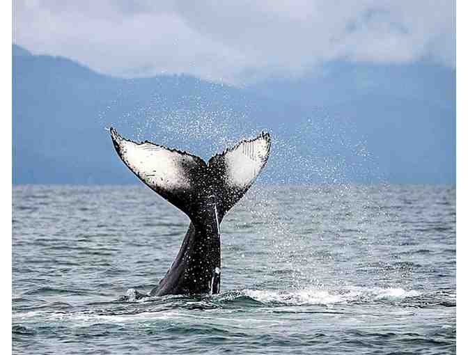 4-Night Stay at Carmel Valley Lodge with Round of Golf in CA