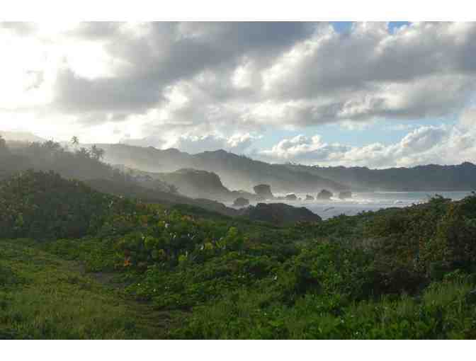 7-Night Stay at Eco Lifestyle Lodge in Barbados