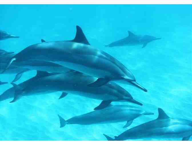 5-Night Oahu 6 bd Ocean View Home & Private Fishing Charter + Gift - Photo 16