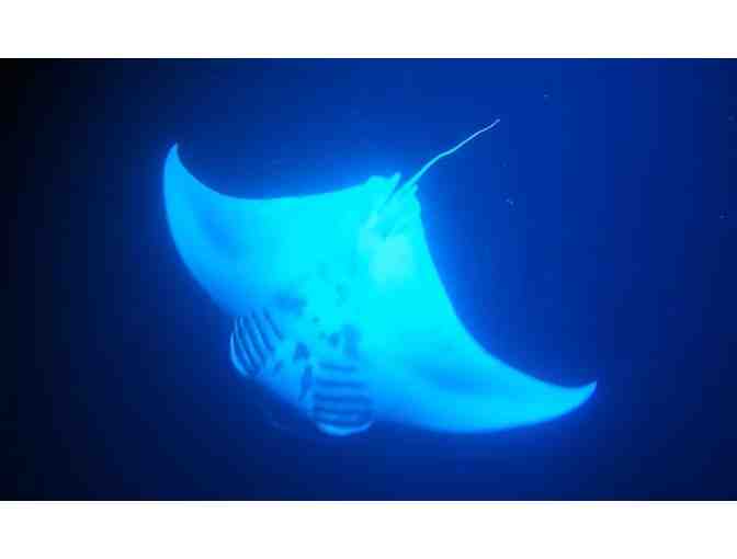5 nights Waikoloa Big Island 2 bedroom + Night time Manta Ray Experience + Gift - Photo 2