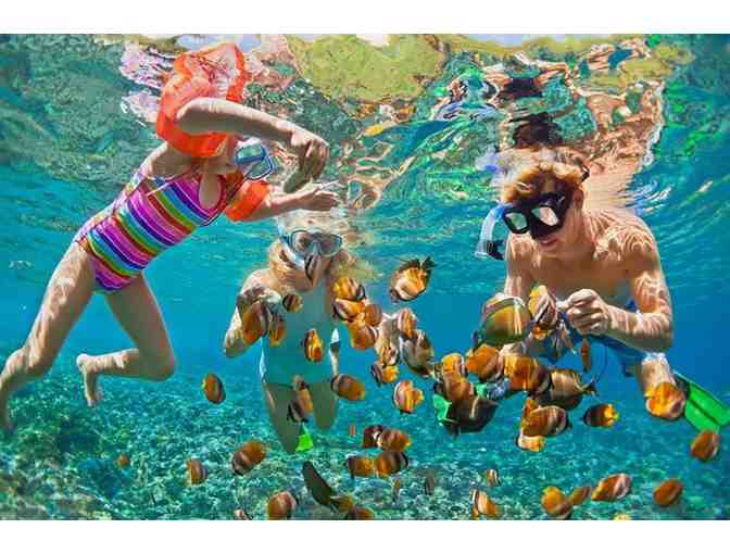 7 night Ultimate Oahu Experince + 3 bed Ocean View Home + Gift - Photo 2