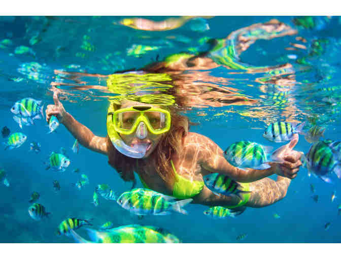 8-Night Maui & O&lsquo;ahu Adventure Getaway for 6 + Gift - Photo 12