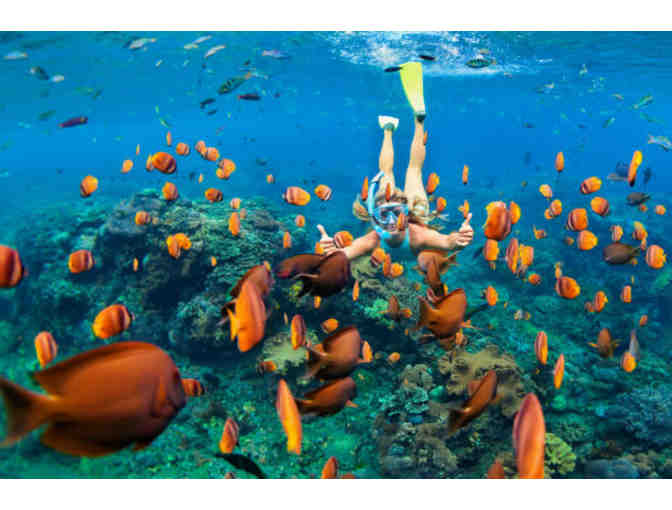 8-Night Maui & O&lsquo;ahu Adventure Getaway for 6 + Gift - Photo 13