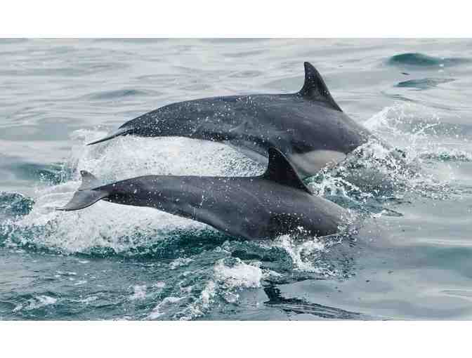 4-Night Luxury Playa del Rey 2 bed Stay + COSM LA Experience + Gift - Photo 7