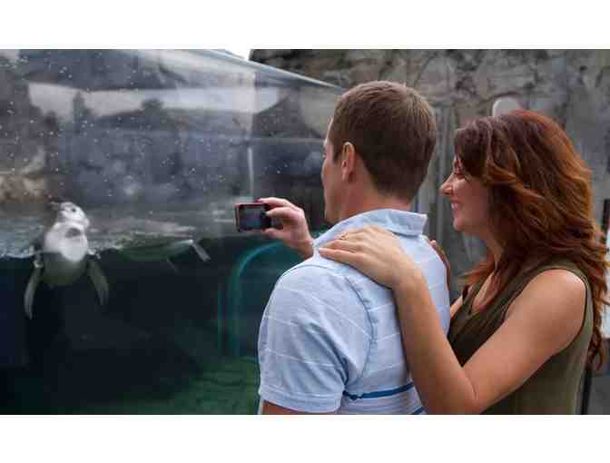 5 night San Diego VIP Aquaium and Tide Pools Expereince + Gift - Photo 4