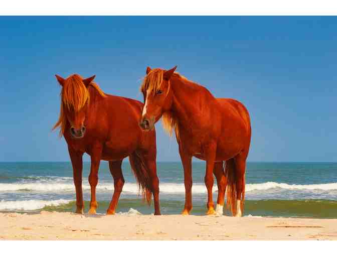 7 Nights in Ocean City! - Photo 6