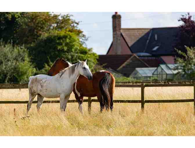 3 Nights in Kentucky with Horse Farm Tour!