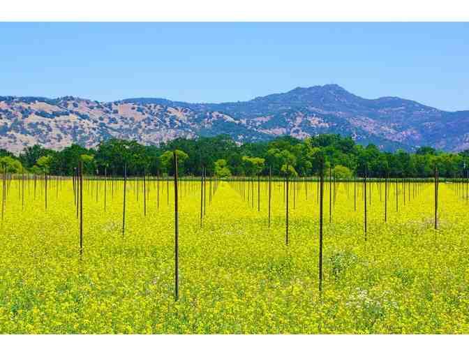 California Wine Country Getaway with Tour!