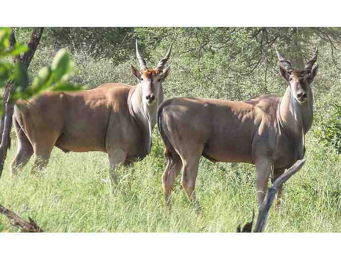 7-Day Hunting Safari in South Africa for 4 - Photo 7