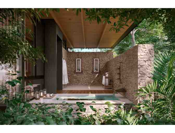 Costa Rica Rainforest Experience