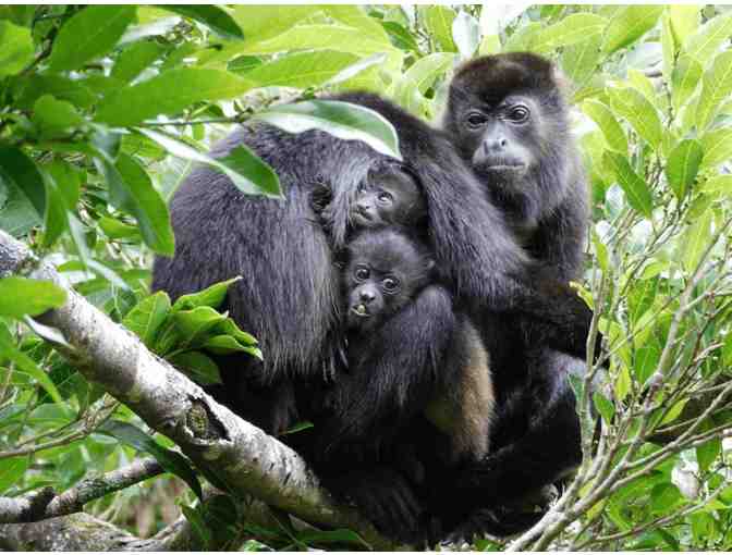 Costa Rica Rainforest Experience