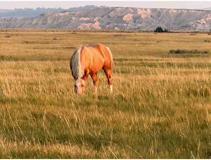 Our Heritage Guest Ranch Unique Vacations
