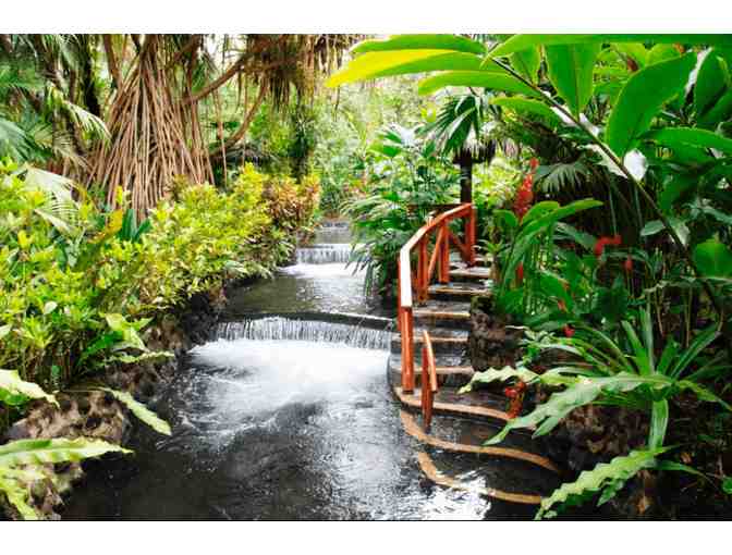 Costa Rica Rainforest Experience