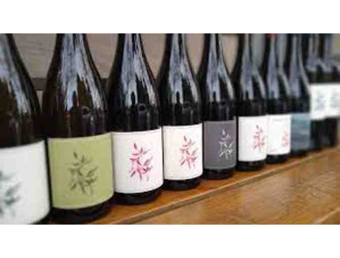 Arnot-Roberts, Cabernet Sauvignon 2022 Sonoma County 1.5L Magnum