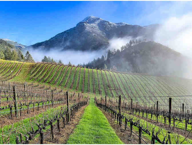 Peter Michael Winery exclusive magnum and private tour and tasting for 6 people