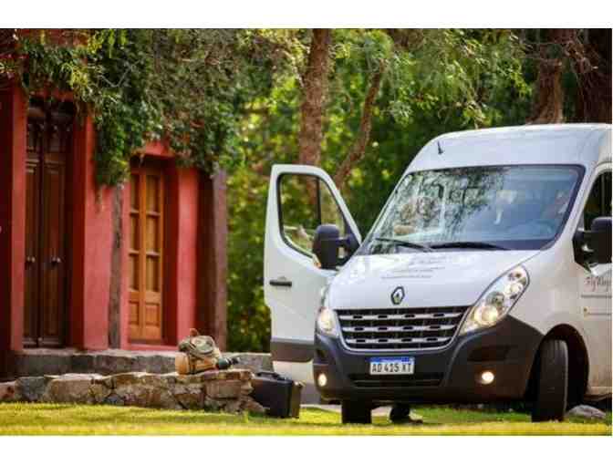 4-Man Argentina Dove Hunt