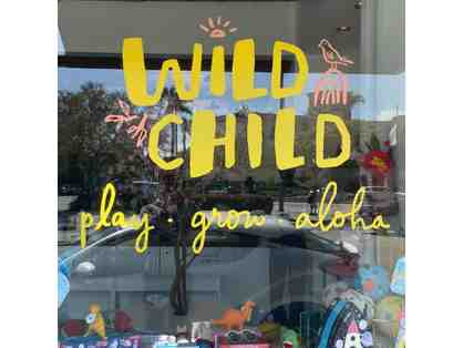 Wild Child Gym: 4-week Session Pass + Annual Membership Fee