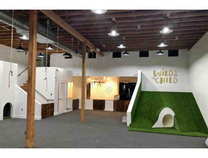 Wild Child Gym: 4-week Session Pass + Annual Membership Fee