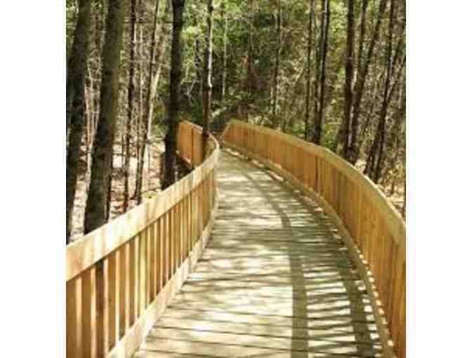 Maine Master Naturalist Guided Walk of Hope Woods