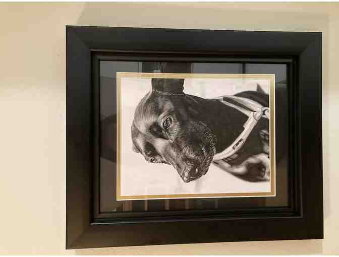 One of a Kind Pet Portrait