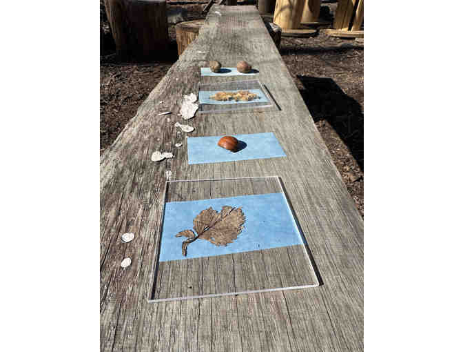 Sun Shadow Art by the Woodland Class and Christy Zolty