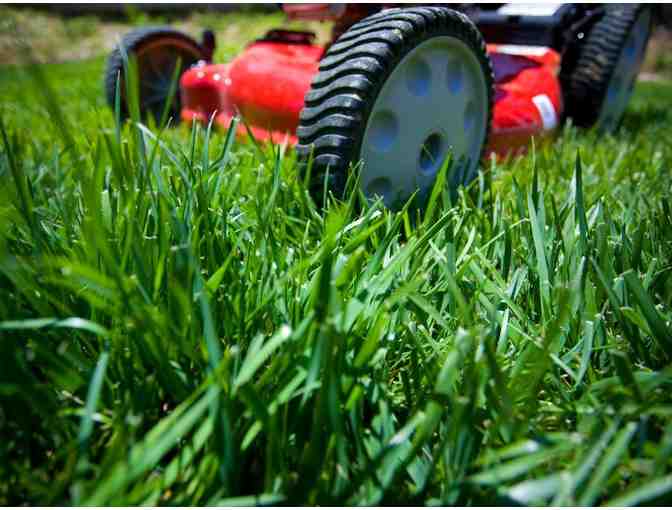 One Month of Lawn Care or One Day of Clean Up from As Green As It Gets