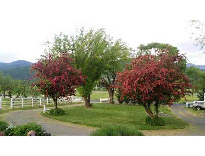 One Night Stay for Two at Applinger Farm