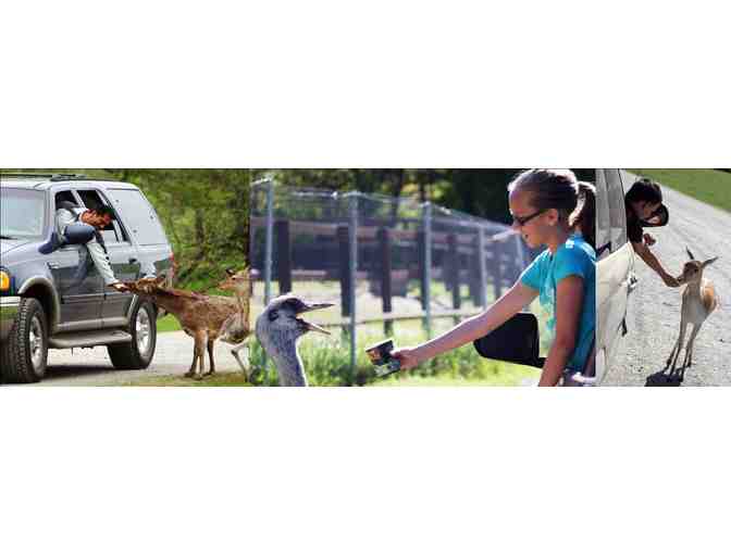 Two Admission Passes to Wildlife Safari