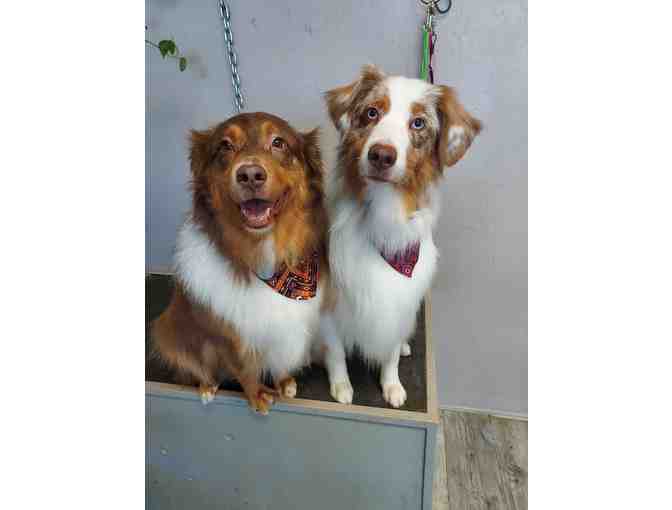 $25 Gift Certificate to The Grooming Pawlor