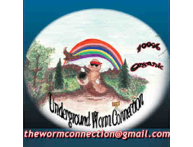 Organic Worm Juice for Plants from Underground Worm Connection