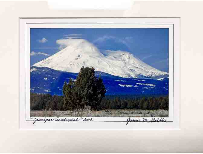 Juniper Sentinel Photo with Wooden Frame by Jonne M. Goeller