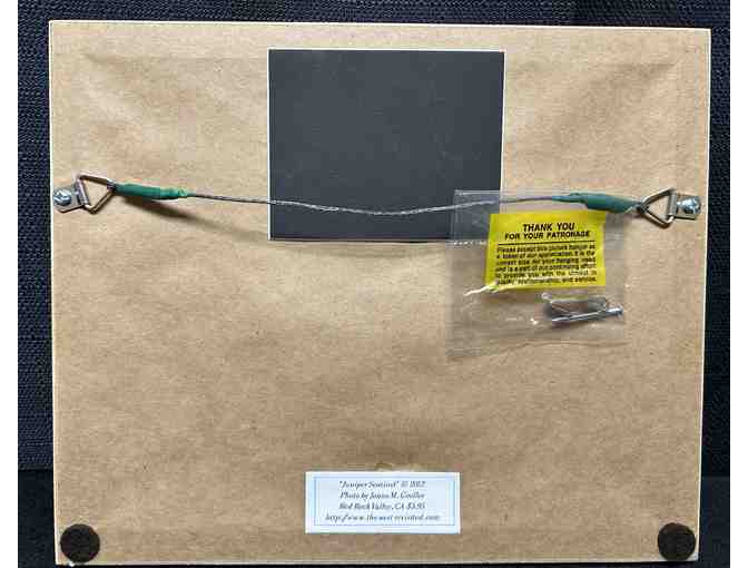 Juniper Sentinel Photo with Wooden Frame by Jonne M. Goeller