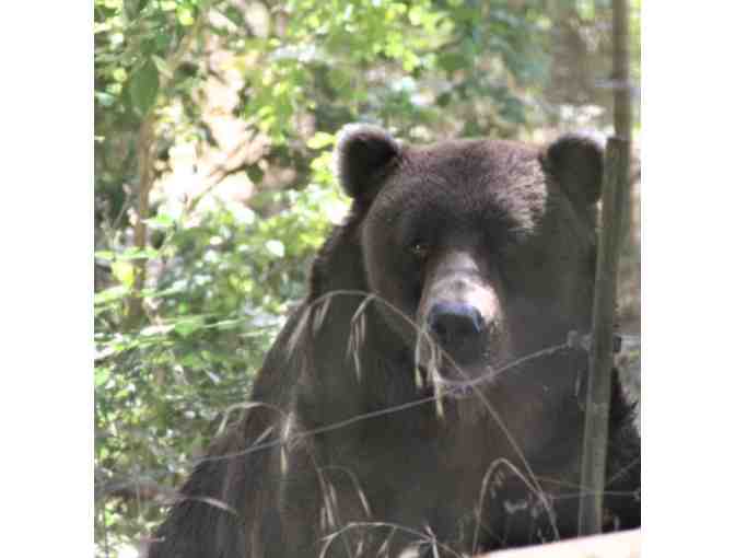 Wildlife Images Gift Basket and Family Membership