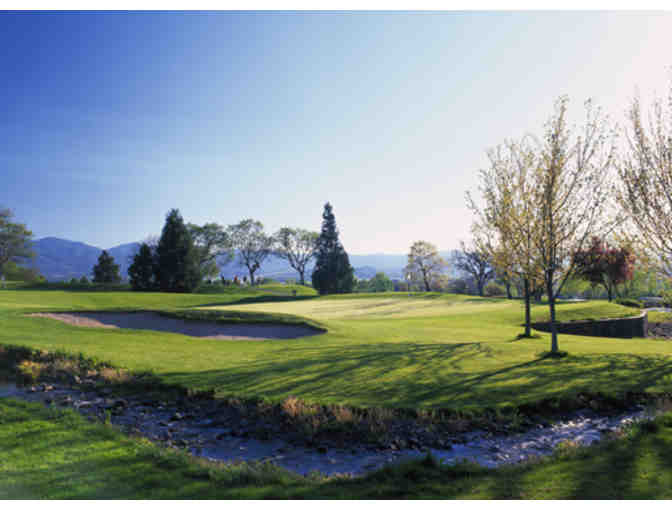 Round of Golf with a Cart Every Month for a Year at Quail Point Golf Course #1